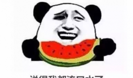 吃瓜爆料找小王秃崽,揭秘小王秃崽的真实面目