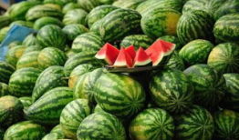 沧州吃瓜爆料事件真相,揭秘背后真相与网络舆论的反思